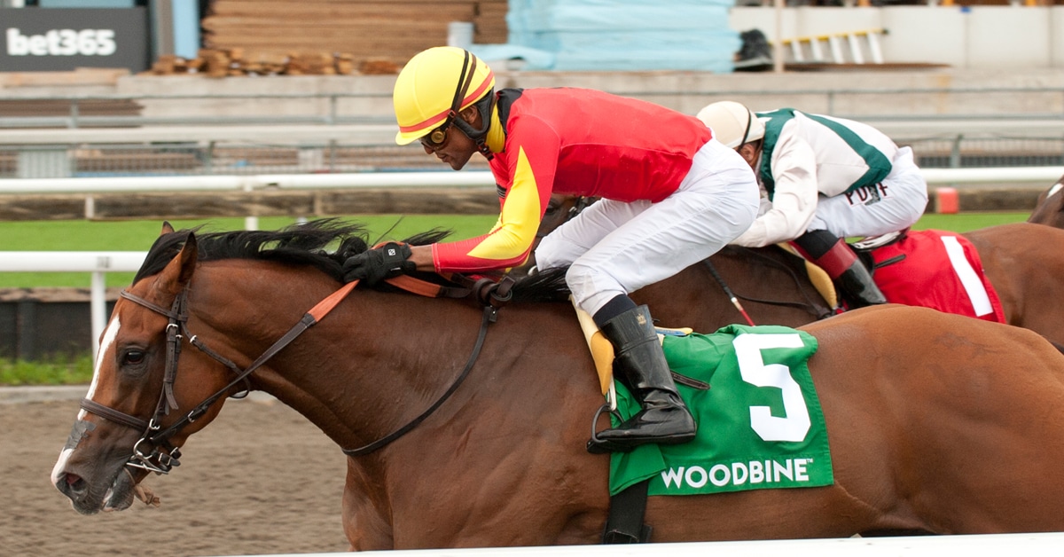 Patrick Husbands guides Essex Serpent to victory in the HPIbet Marine Stakes. Essex Serpent is owned by Manfred and Penny Conrad and trained by Mark Casse. (Woodbine/ Michael Burns Photo)