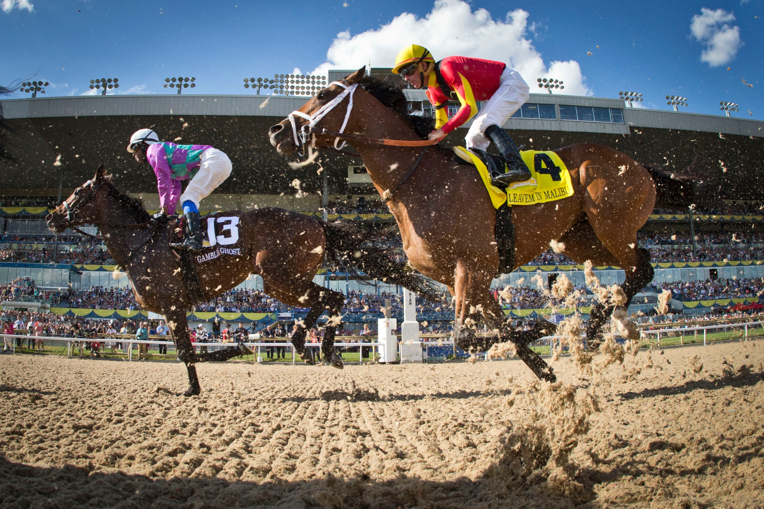 Leave In Malibu chases Gamble's Ghost in the first leg of the of the 157th running of the Queen's Plate horse race at Woodbine Racetrack in Toronto, July 3.